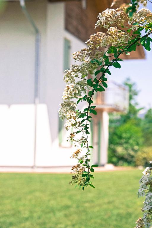 Agriturismo Locanda De L'Arguta Trento Dış mekan fotoğraf